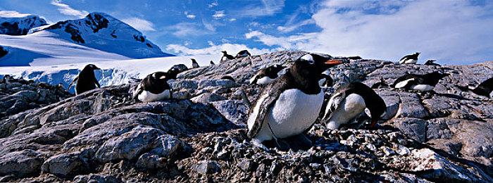 《星球大战：法外狂徒》女主可以背叛贾巴